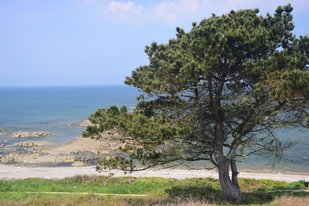 Holiday home La Maison Aux Hortensias, 1km De La Plage, Proche Du Sillon De Talbert