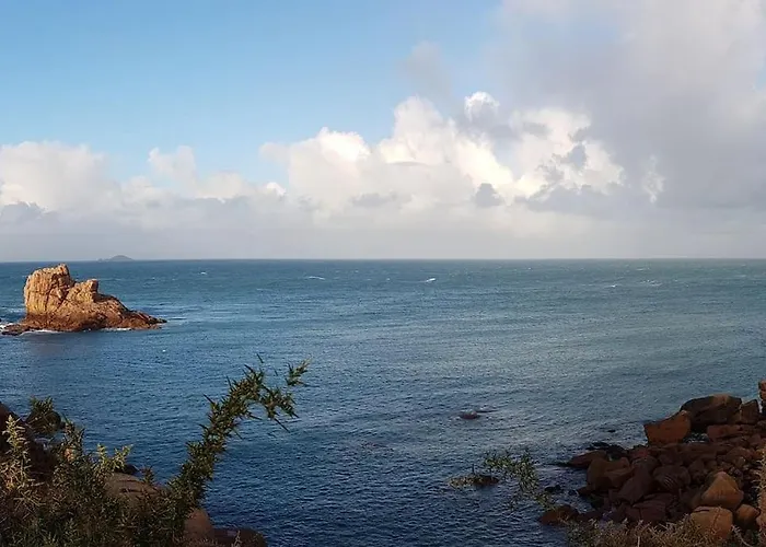La Maison Aux Hortensias, 1Km De La Plage, Proche Du Sillon De Talbert